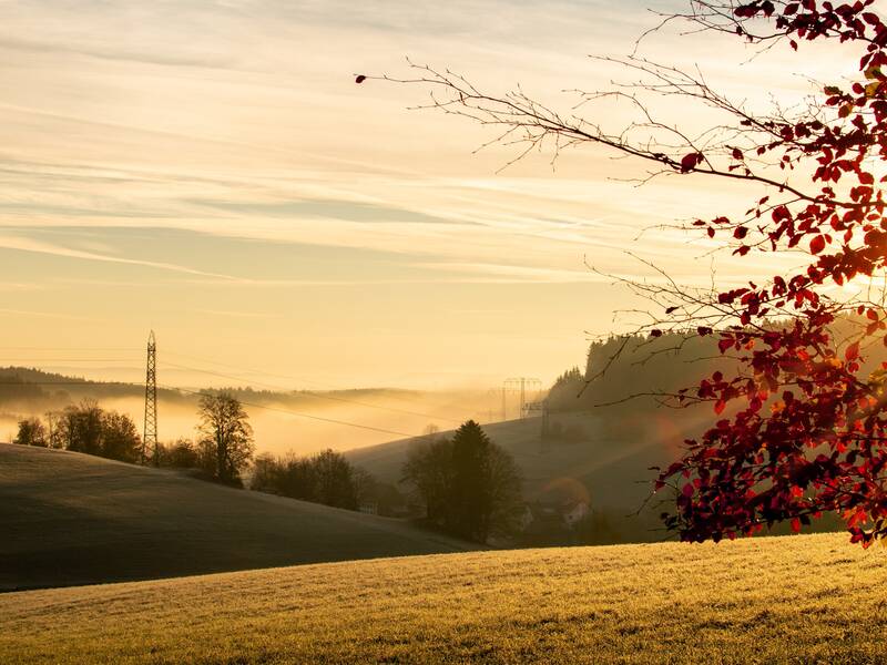 herbstliche Stimmung mit Tal im Nebel