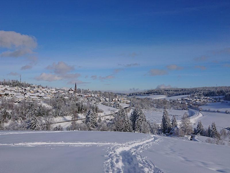 Winterblick in Richtung Stadt vom Kohlbühl